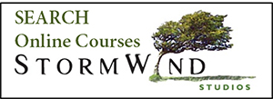 Search Online Courses by Stormwind studios